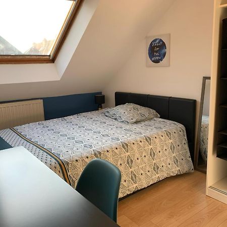 Duplex Du Lion Lejlighed Belfort Eksteriør billede